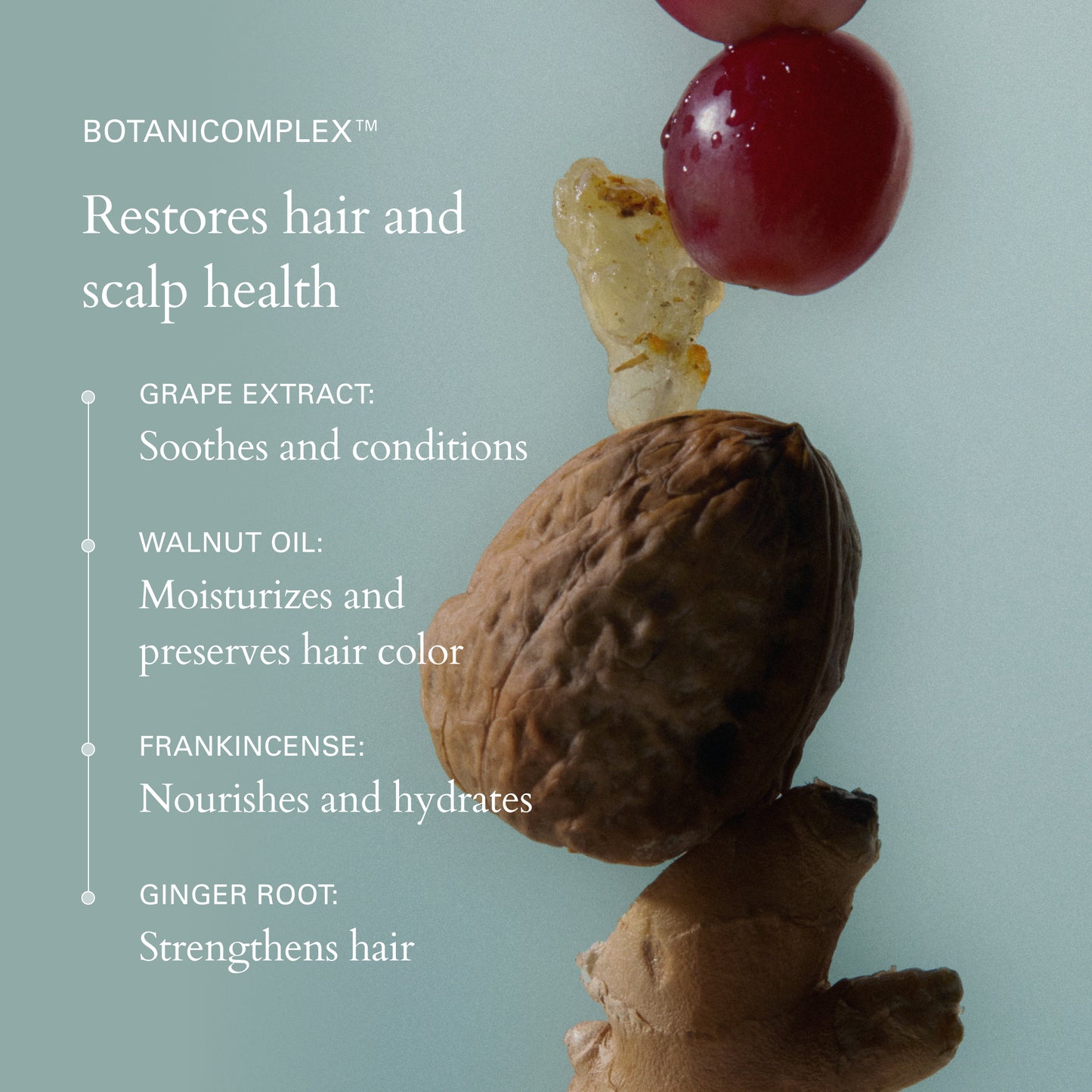 Foundation Shampoo Refill