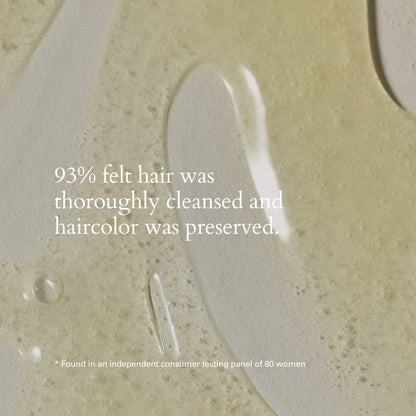Foundation Shampoo