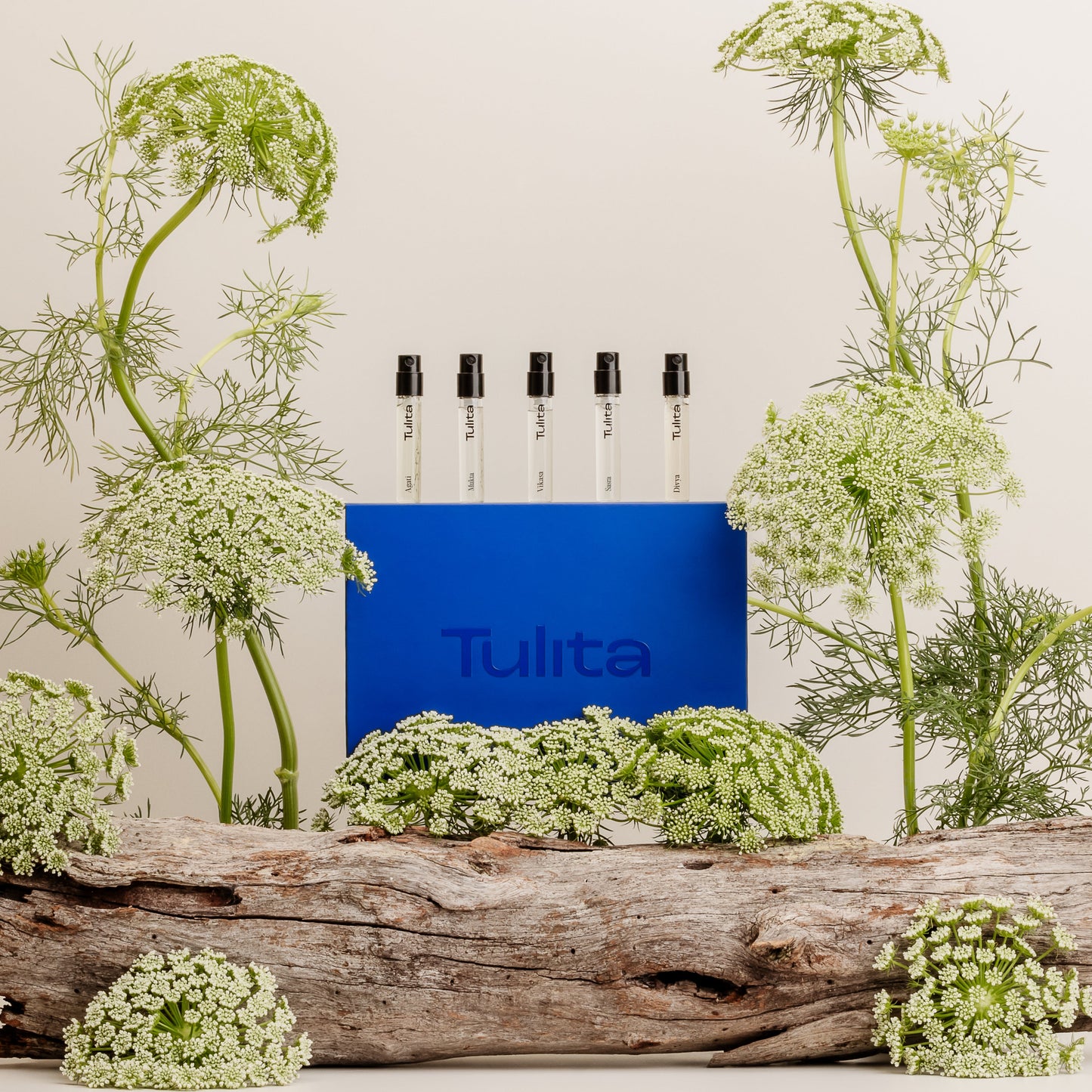 Tulita Discovery Kit