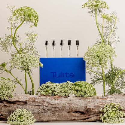 Tulita Discovery Kit