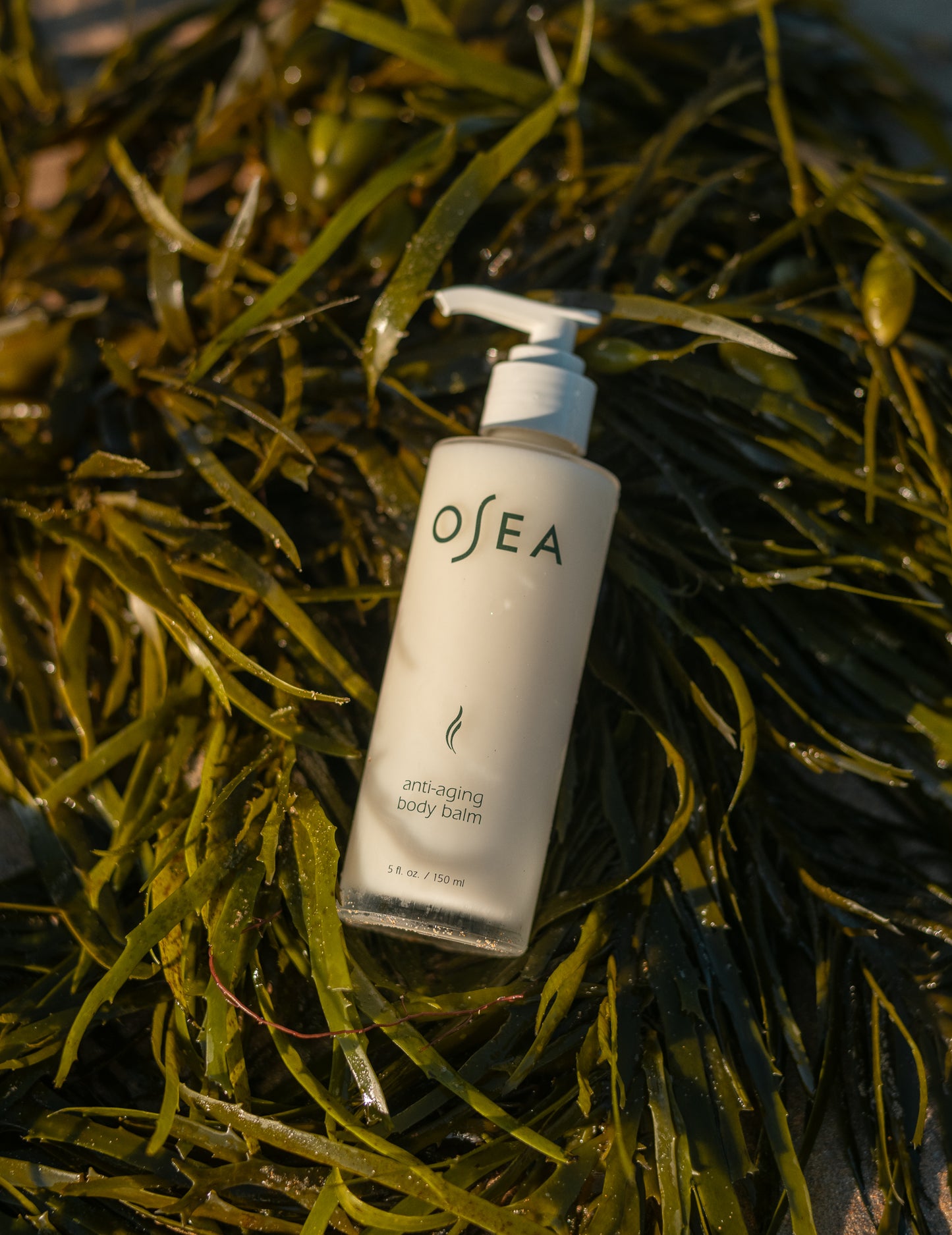 Anti-Aging Body Balm